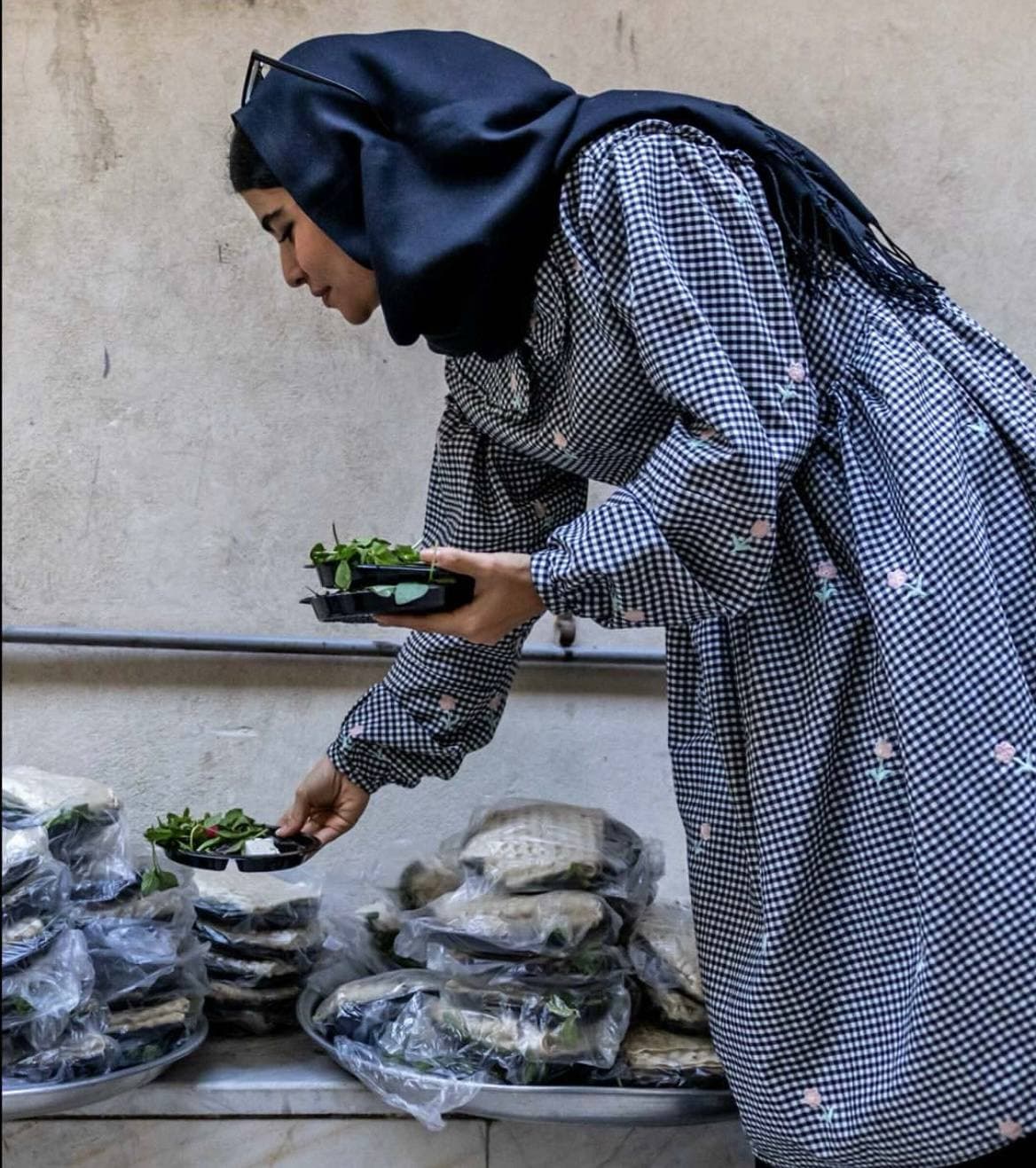 تصویر گالری 5